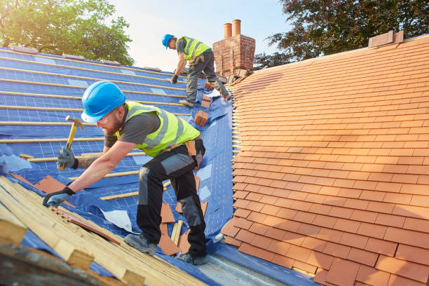 Best Roofing for New Construction  in Encinal, TX